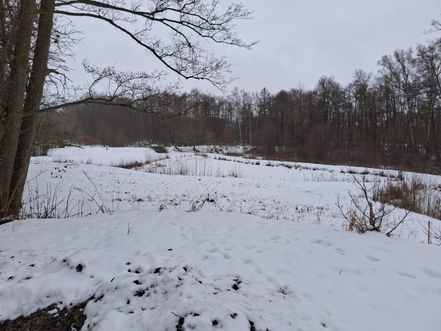 Prodej pozemek - Mostov, Odrava