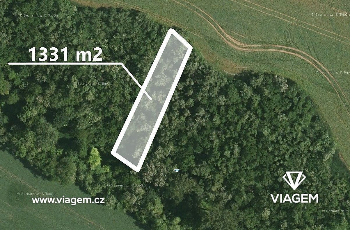 Les · Ivančice, okres Brno-venkov, Jihomoravský kraj - 1