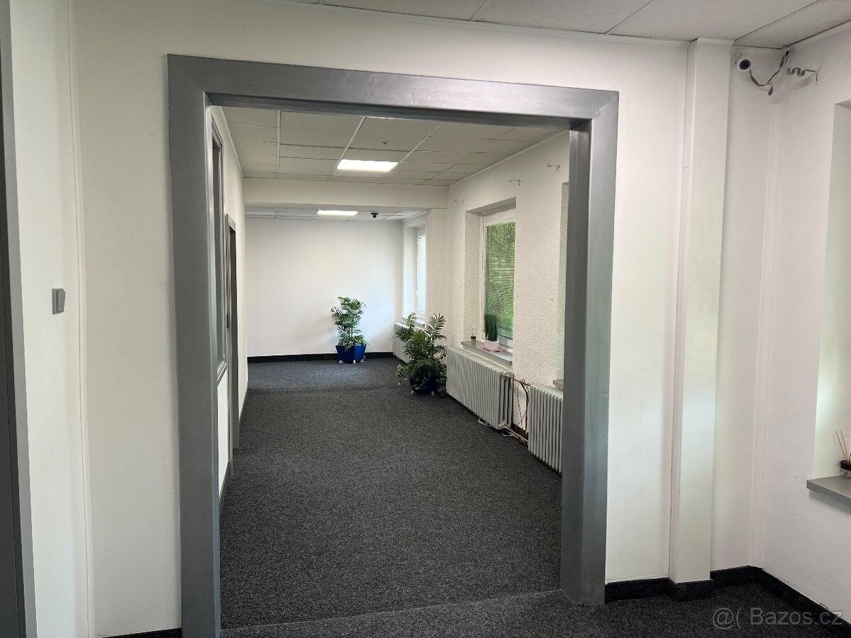 Byty, Holice v Čechách, 534 01