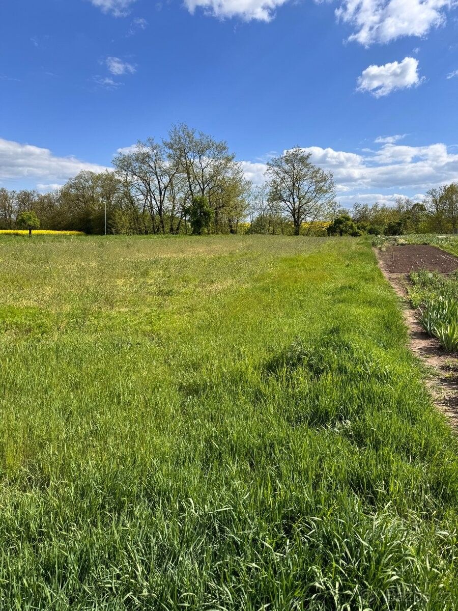 Pozemky pro bydlení, Beřovice, 273 71