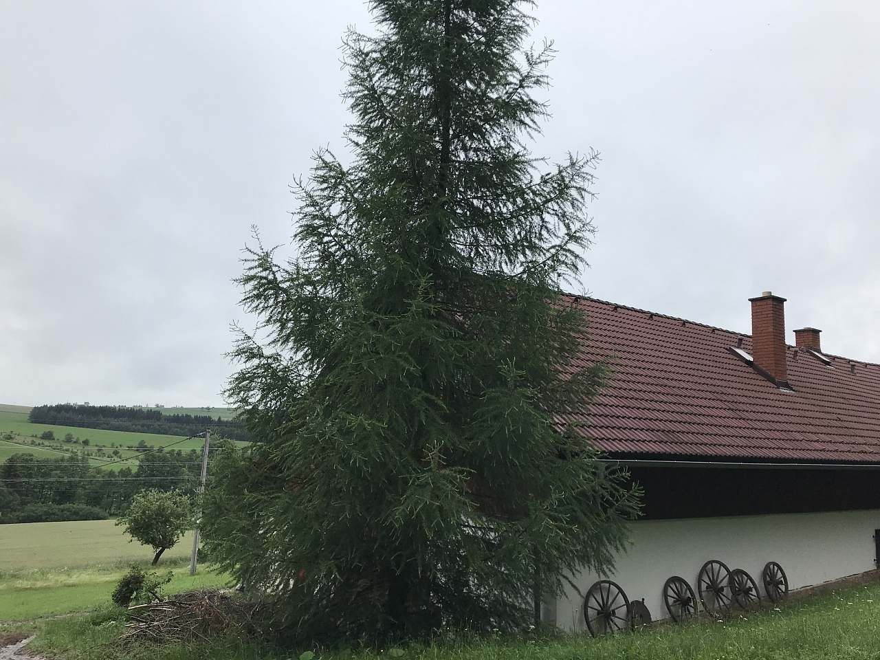 Chata · Hejnice u Žamberka, Pardubický kraj - 3
