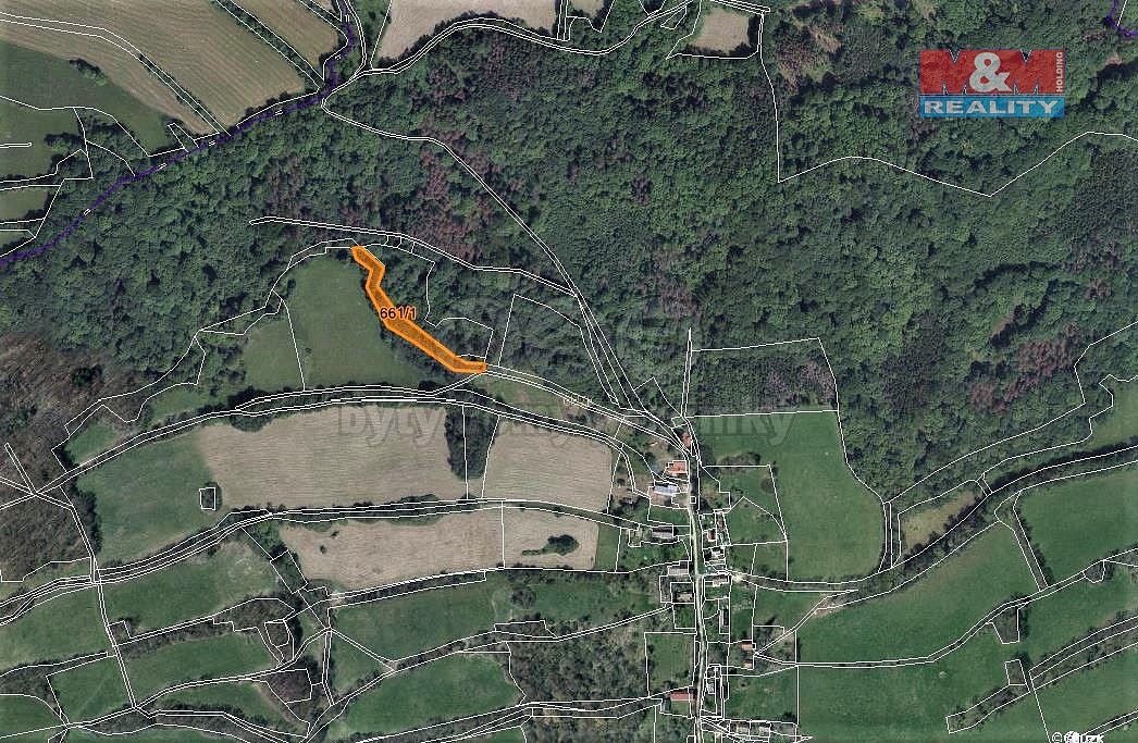 Les · Kozly, okres Česká Lípa, Liberecký kraj - 3