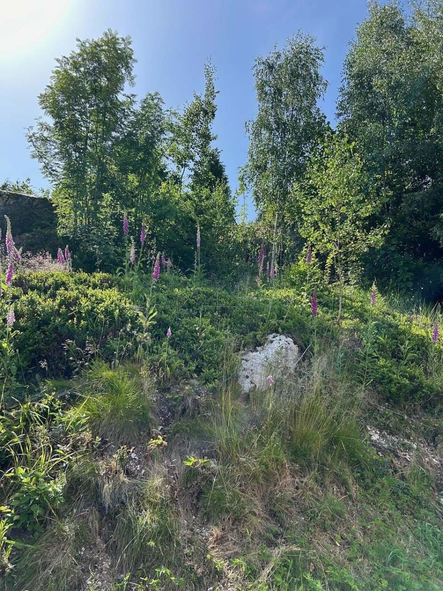 Chata · Karlova Studánka, Moravskoslezský kraj - 2