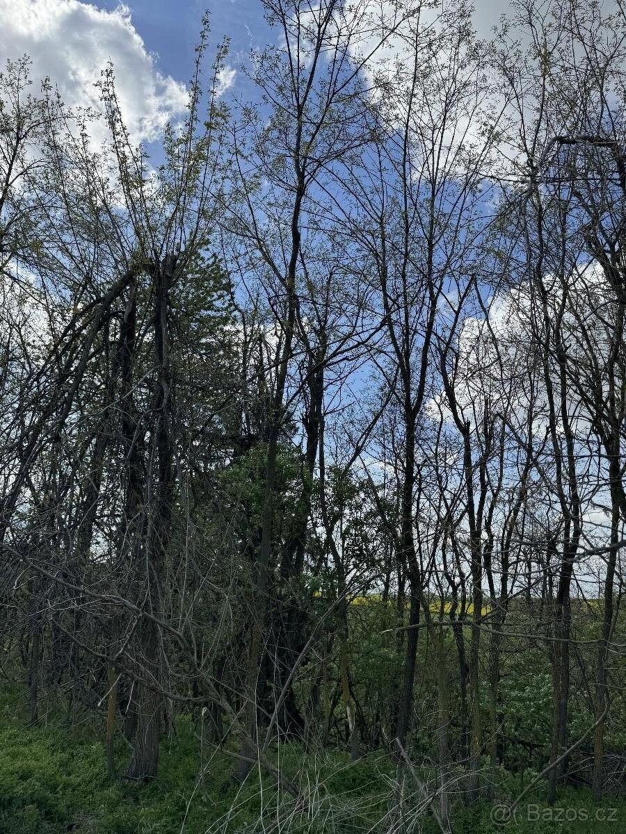 Prodej pozemek pro bydlení - Vladislav, 675 01