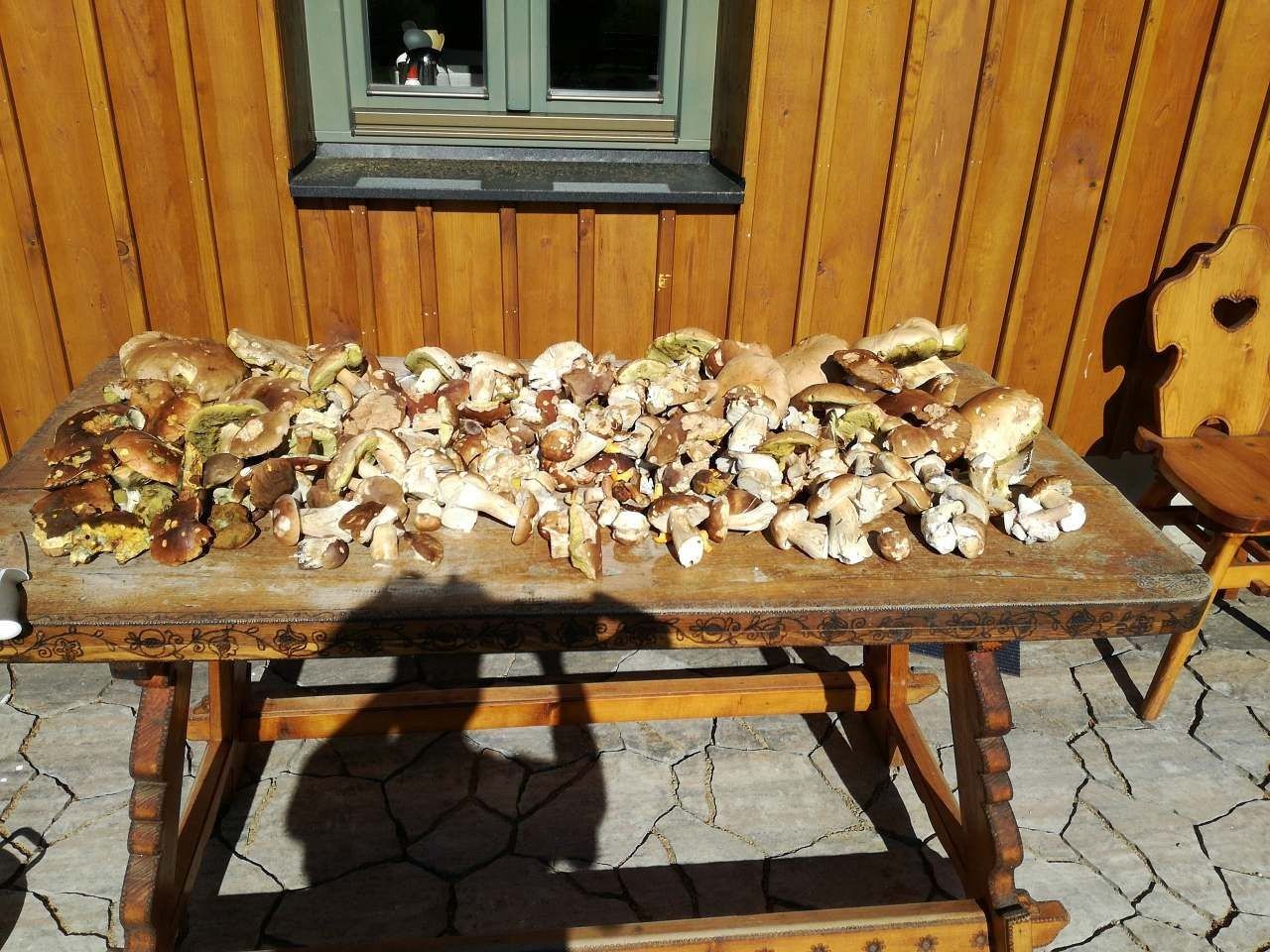 Chata · Lenora, Jihočeský kraj - 3