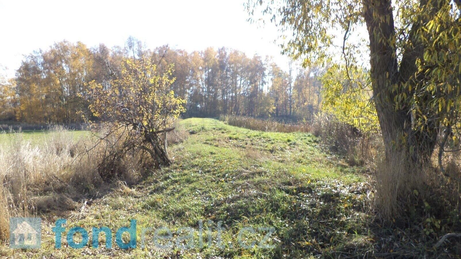 Prodej pozemek - Borovná, 1 225 m² - 2