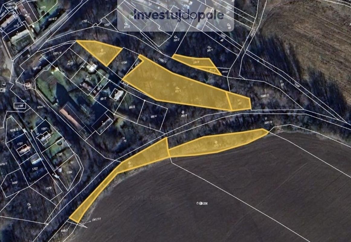 Zahrady, Planá, 4 113 m²