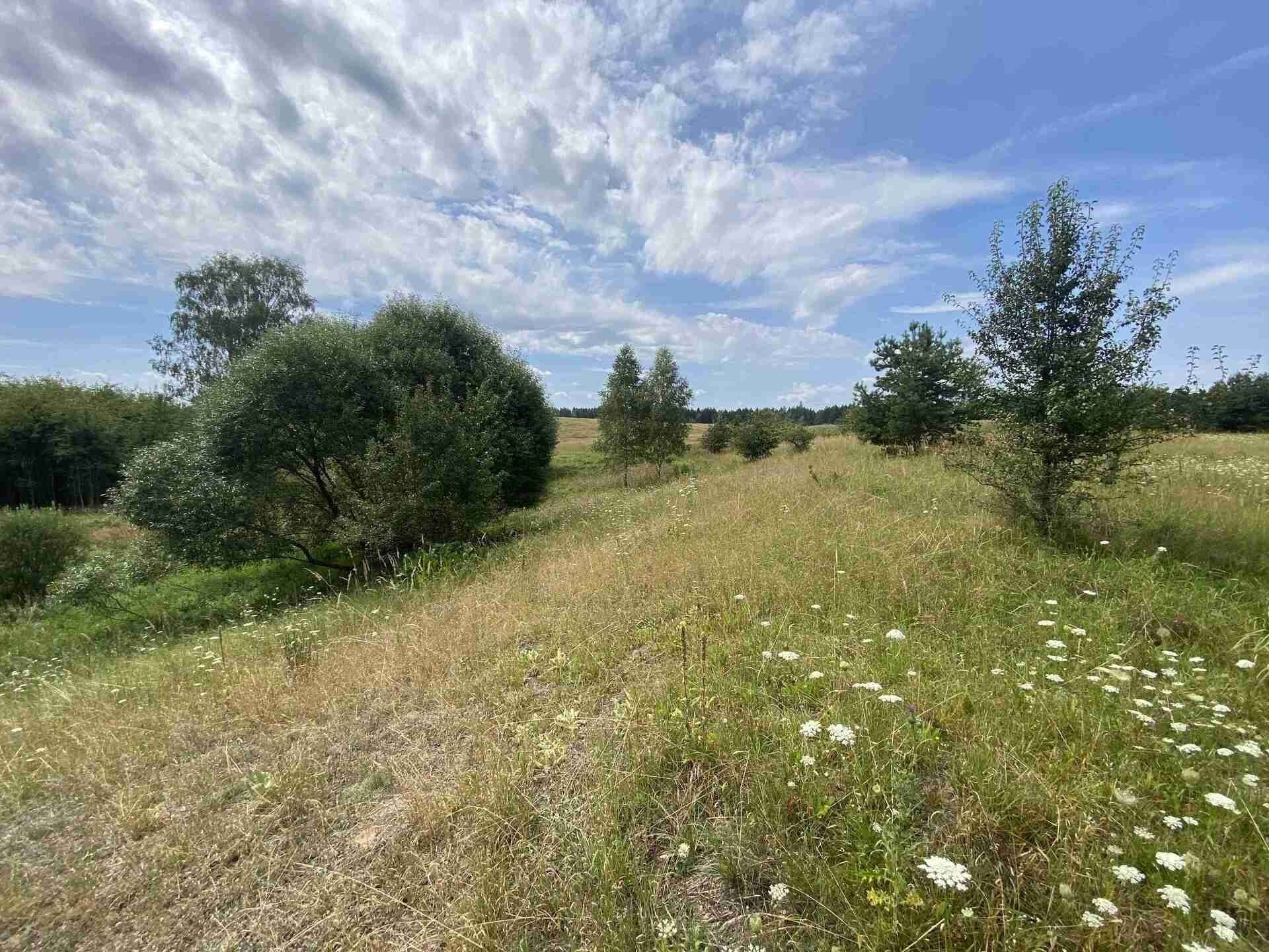 Prodej pozemek - Nová Ves u Klikova, Rapšach, 6 m²