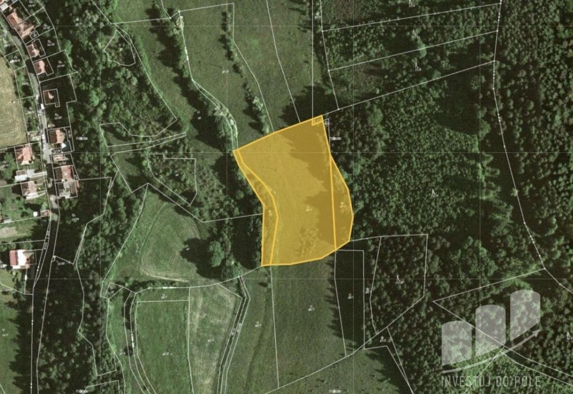 Prodej louka - Letovice, 679 61, 7 060 m²