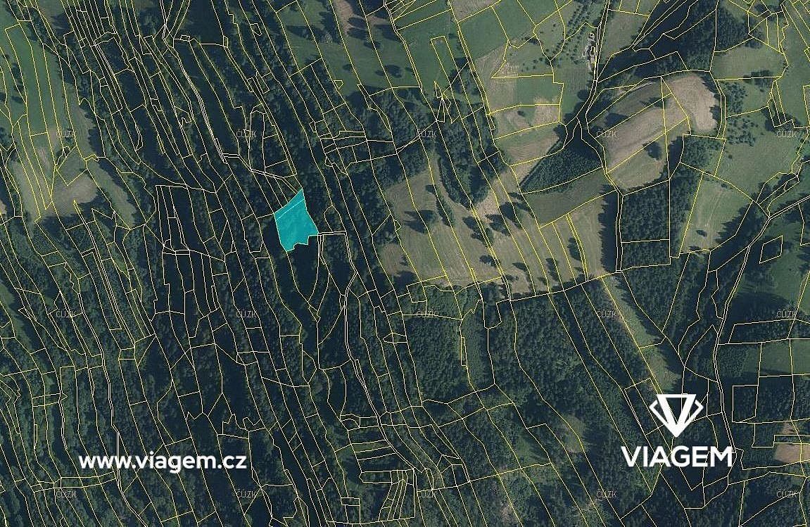 Les · Nový Hrozenkov, okres Vsetín, Zlínský kraj - 2