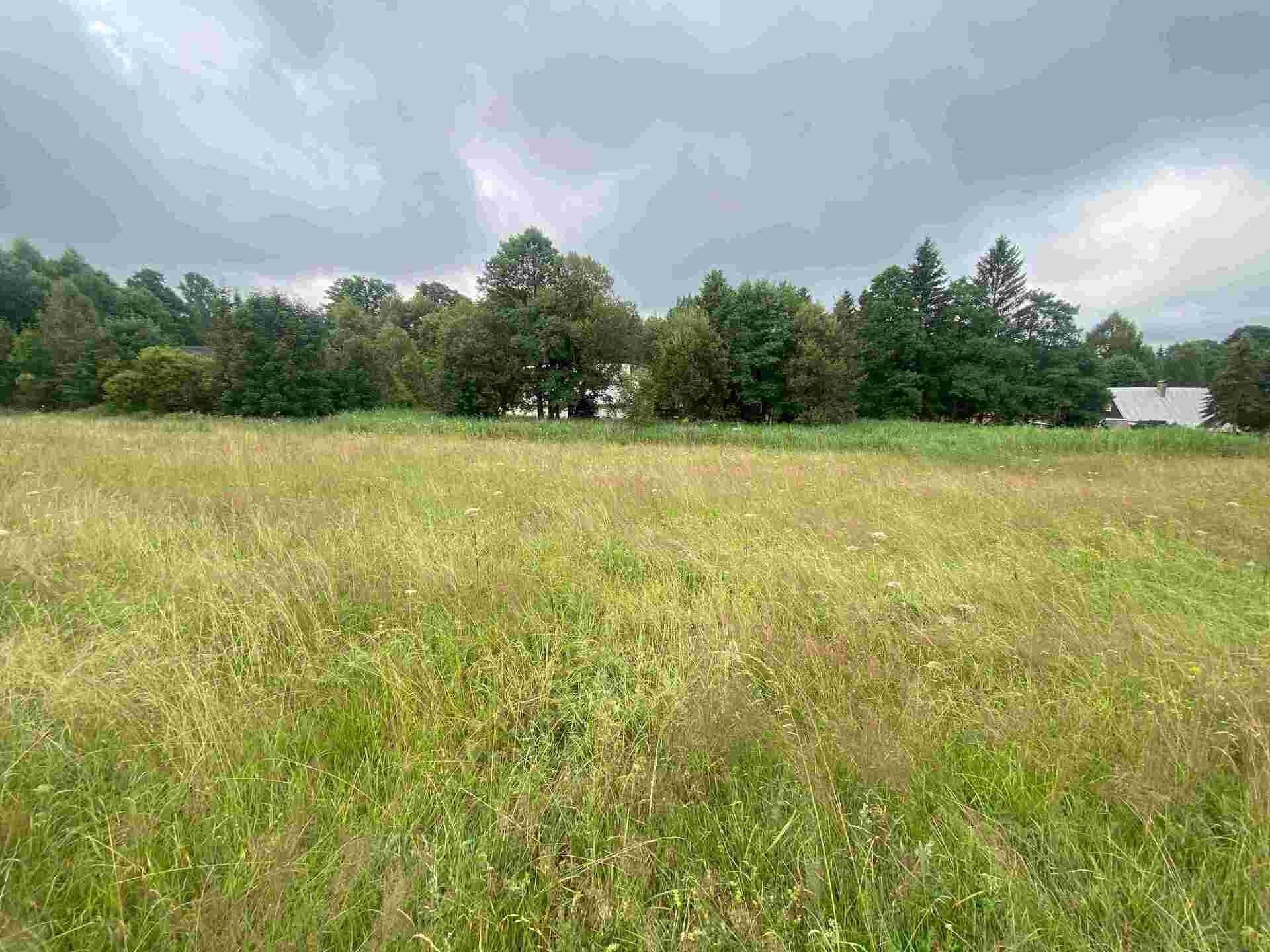 Pozemek pro bydlení · 1 500 m² · Deštné v Orlických horách - 4