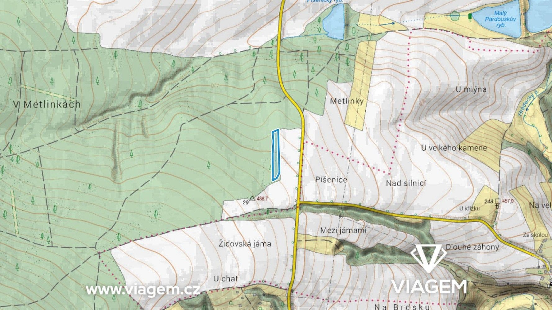 Les · Manětín, okres Plzeň-sever - 3