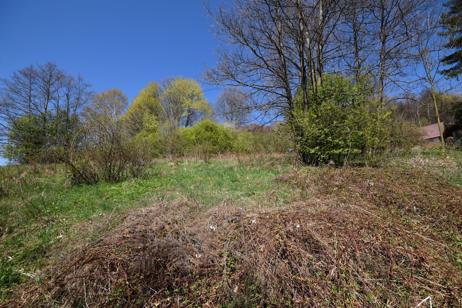 Prodej pozemek pro bydlení - Jeseník, 3 985 m² - 5