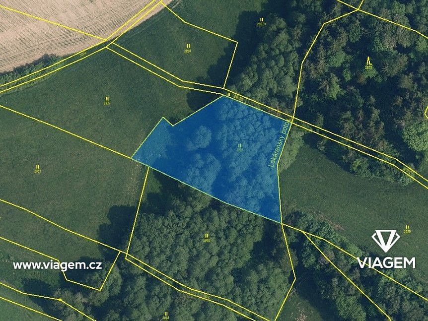 Les · Roprachtice, okres Semily, Liberecký kraj - 3