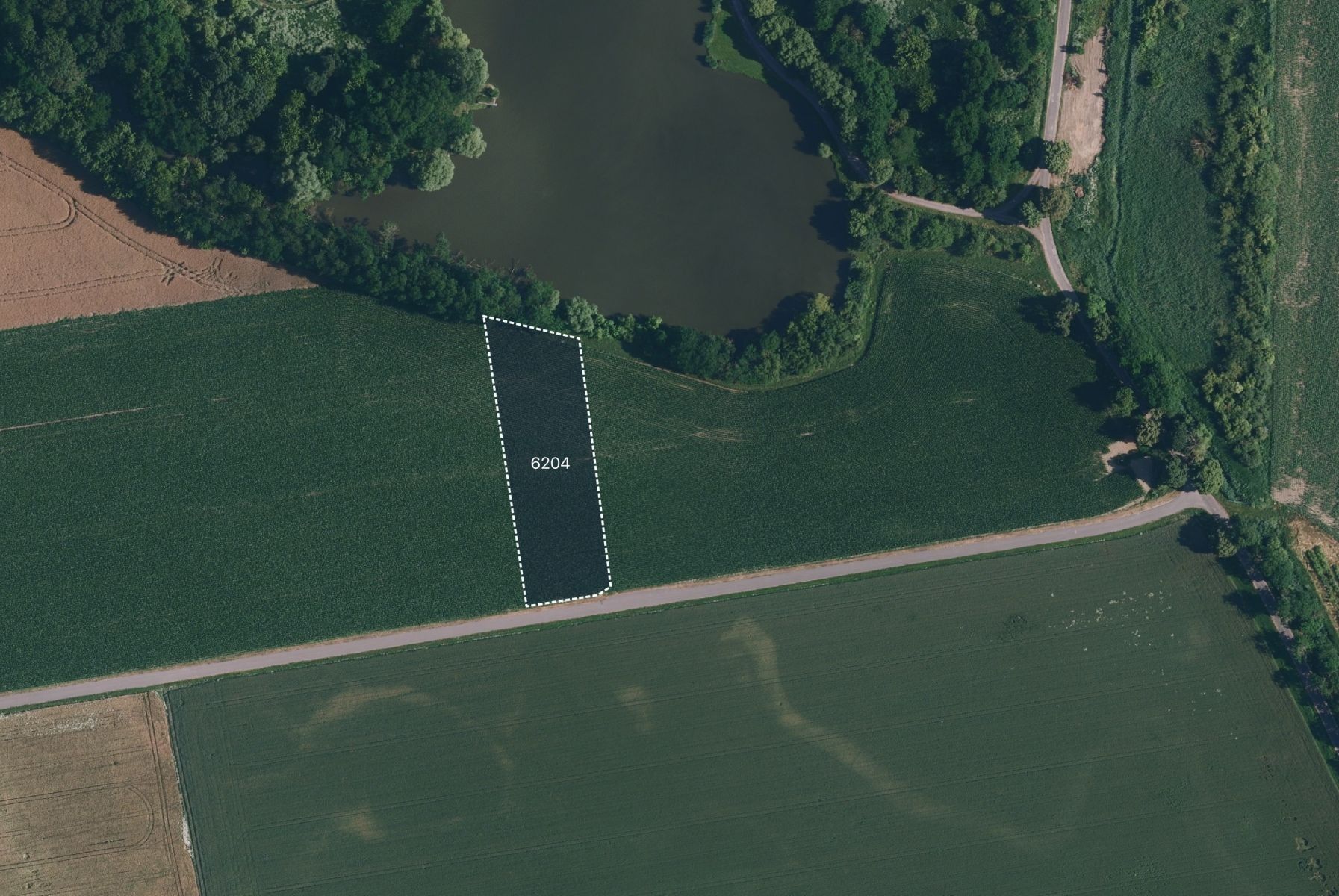 Zemědělský pozemek · Dyjákovice - 1