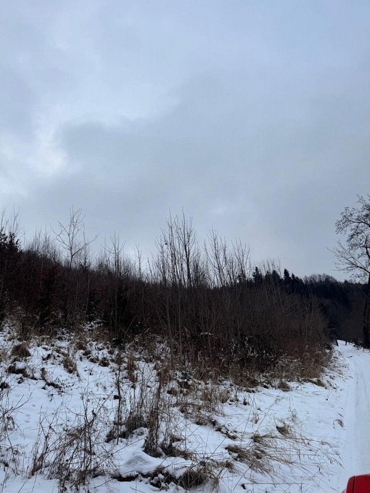 Lesy, Malá Bystřice - Velešovice, okres Vsetín, Zlínský kraj - 2