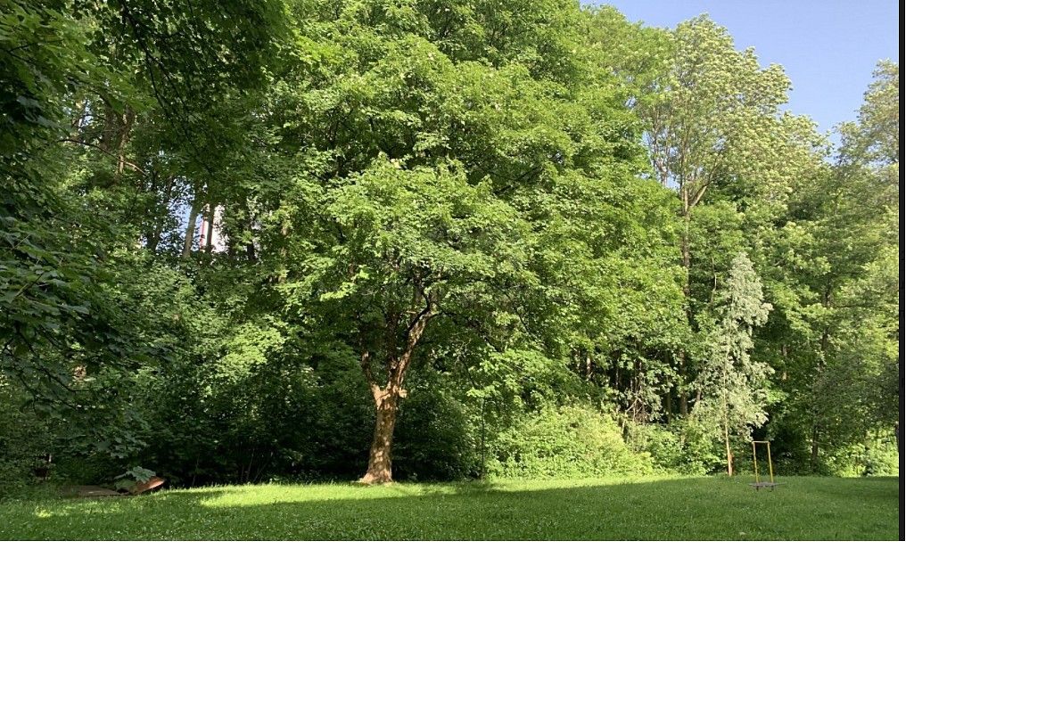 Komerční pozemek · Třinec, okres Frýdek-Místek, Moravskoslezský kraj - 3