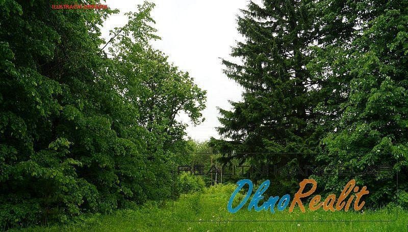 Prodej les - Kostelní Lhota, okres Nymburk, Středočeský kraj - 2