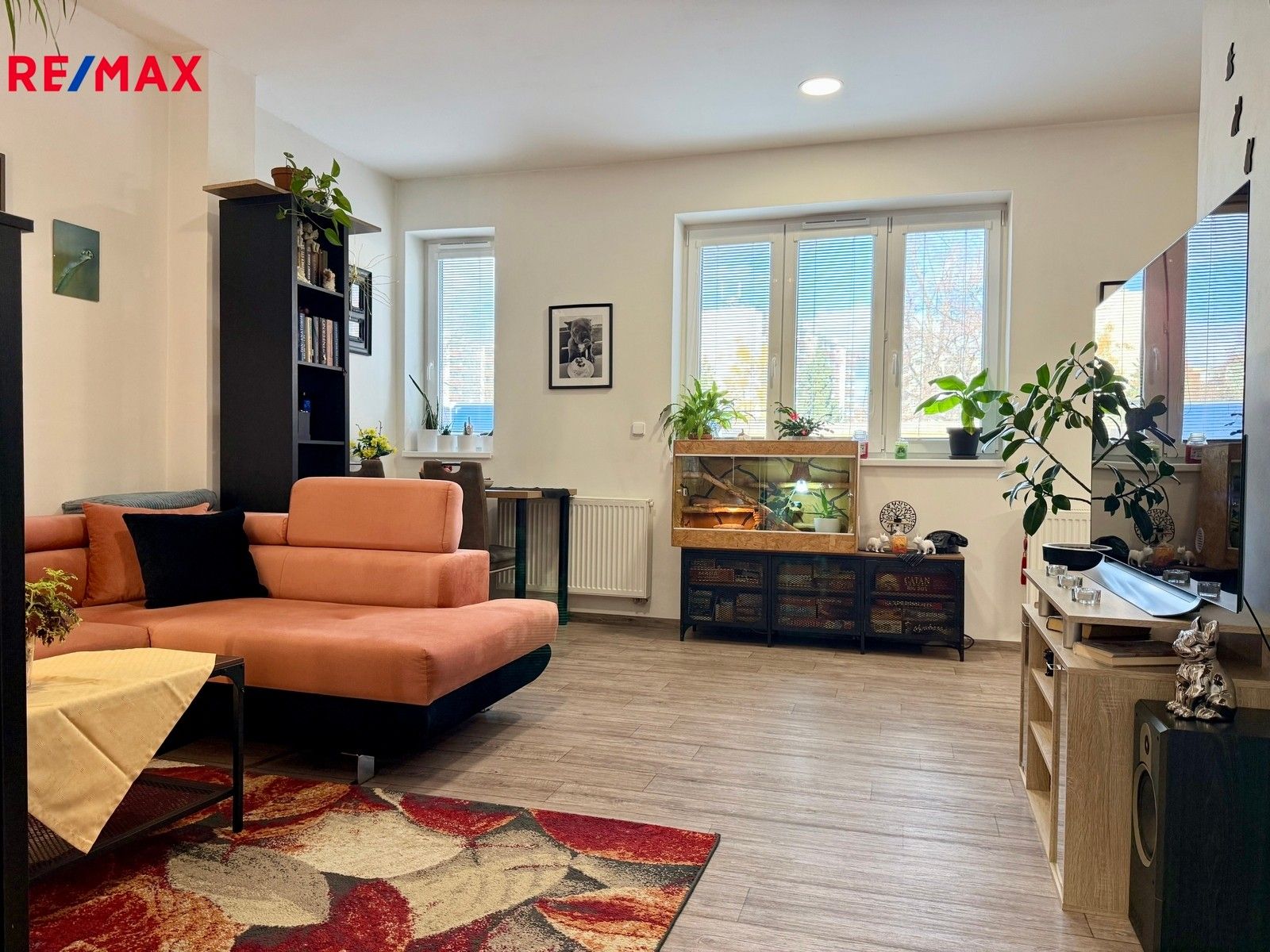 2+kk, Černovická, Brno, 70 m²