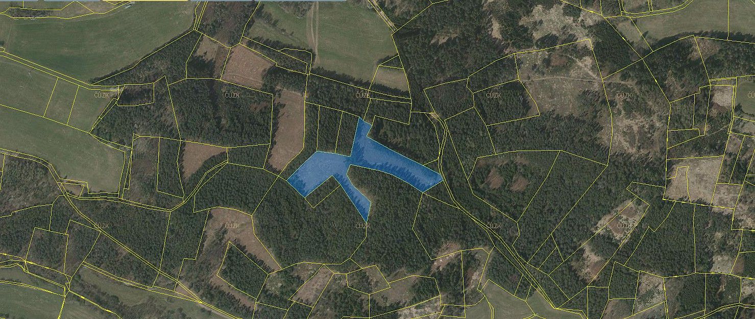 Lesy, Přechovice, okres Strakonice, Jihočeský kraj - 2