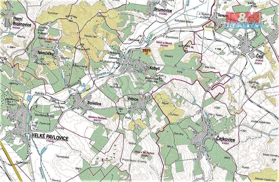 Prodej zemědělský pozemek - Kobylí, okres Břeclav, Jihomoravský kraj - 5