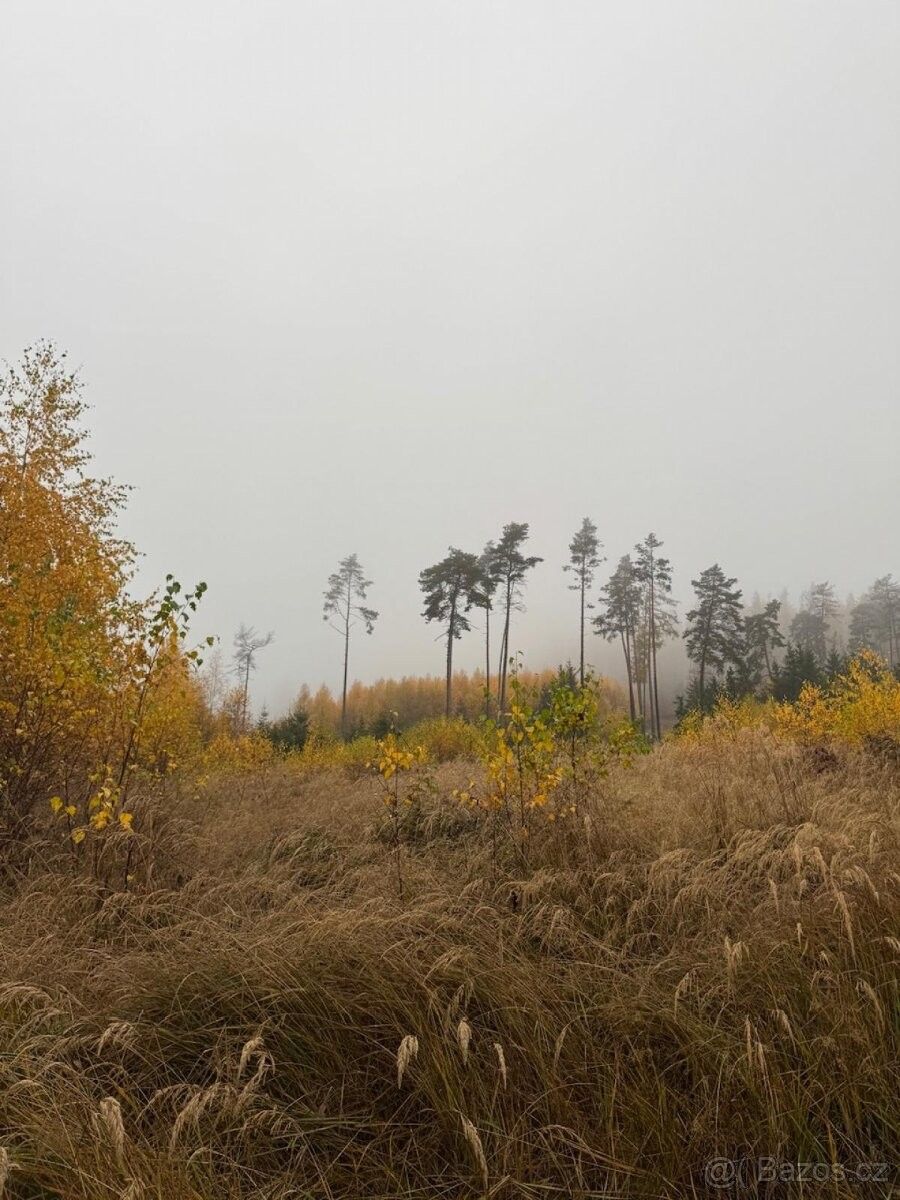 Prodej pozemek pro bydlení - Koloveč, 345 43