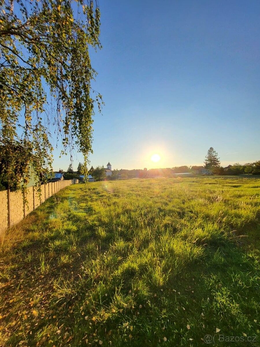 Pozemky pro bydlení, Albrechtičky, 742 55