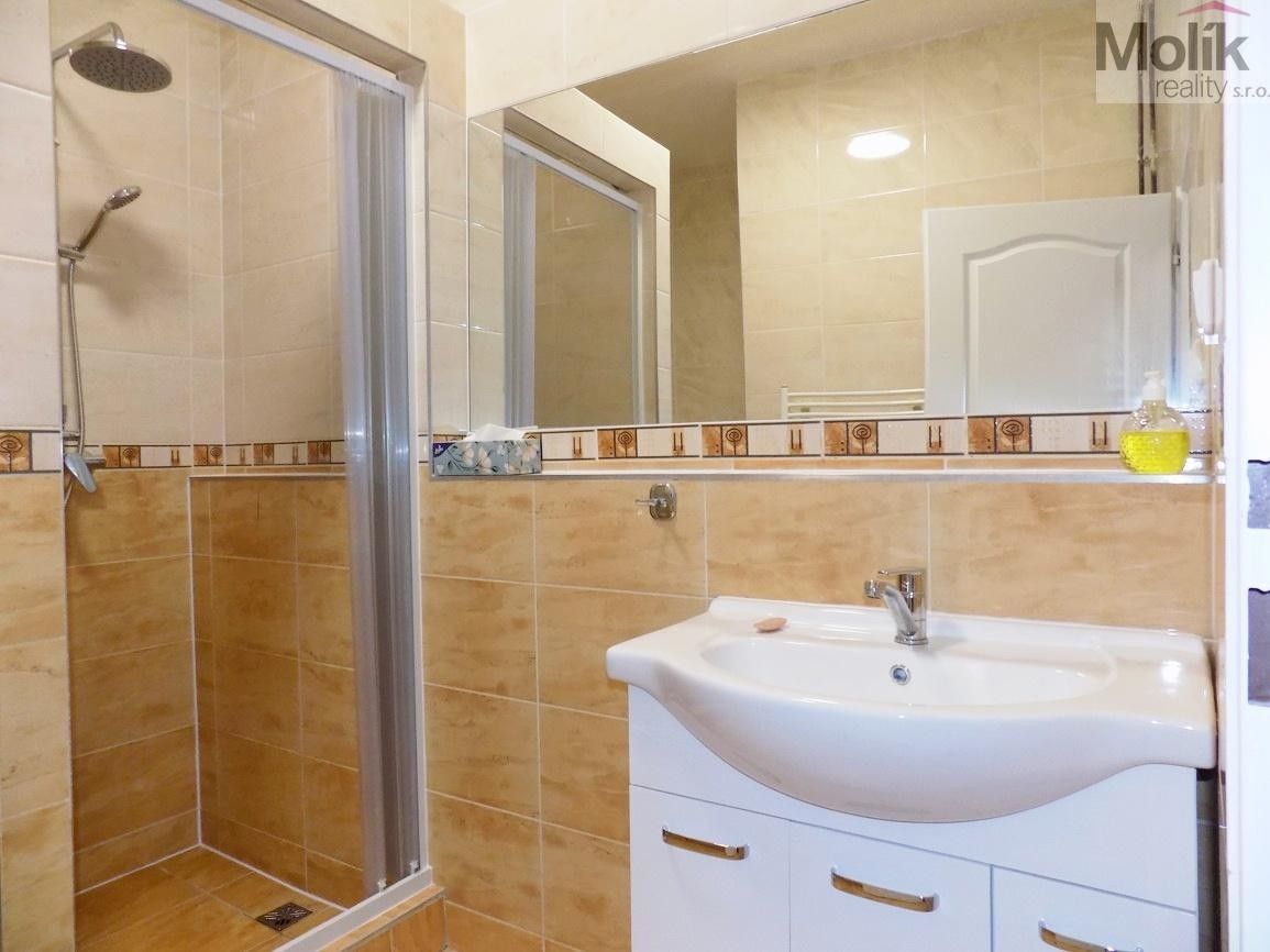 Pronájem byt 2+1 - U Hadích lázní, Teplice, 53 m² - 5