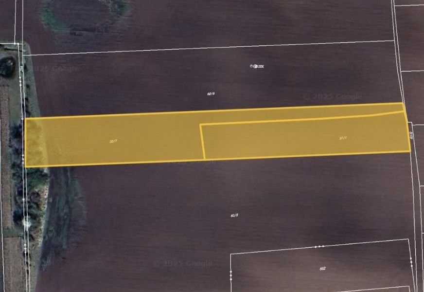 Zemědělské pozemky, Černíky, 8 150 m²