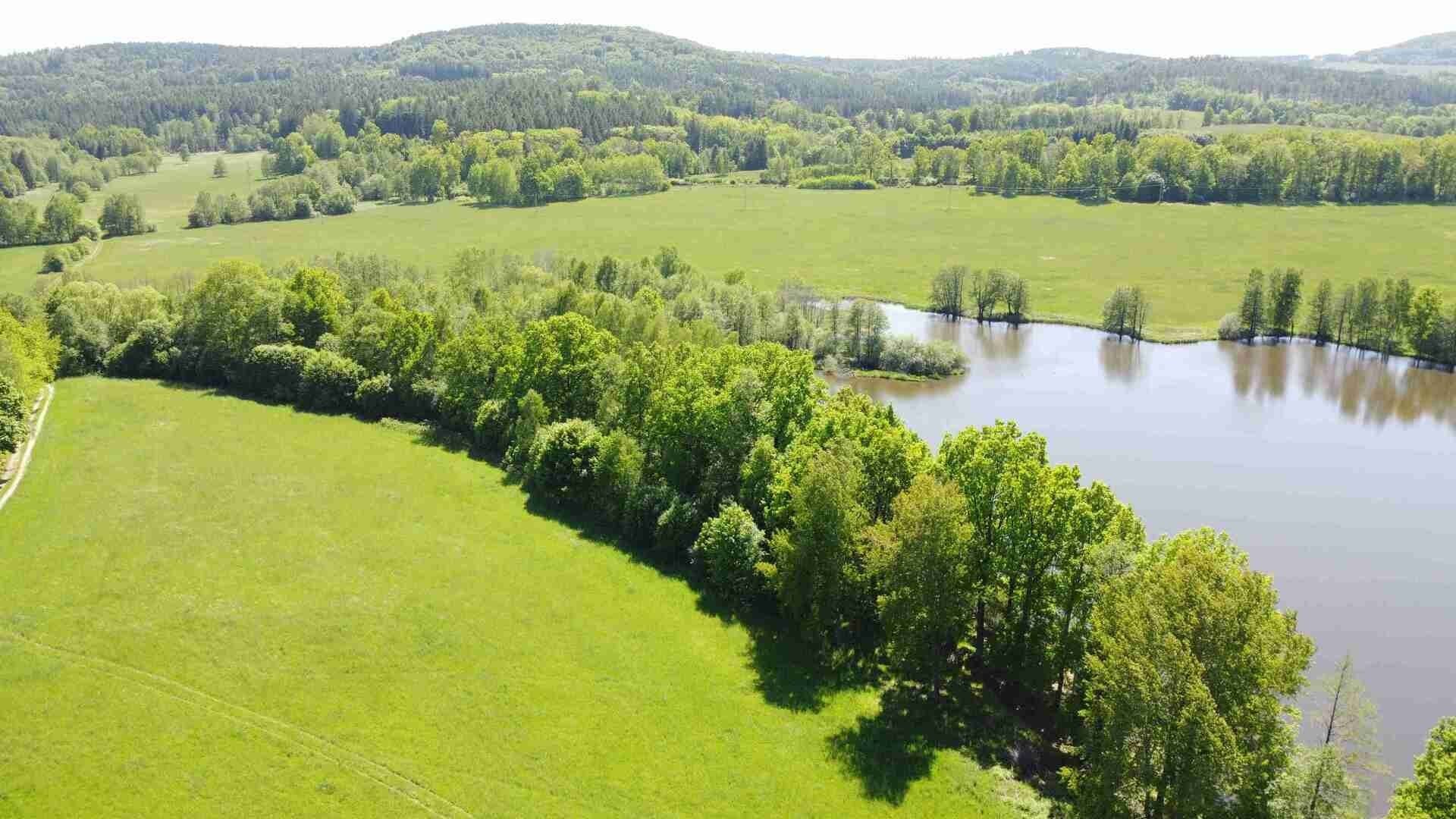 Zemědělský pozemek · 1 989 m² · Šluknov - 3