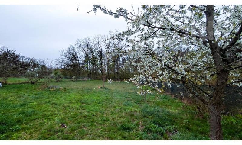 Zahrada, 750 m²
