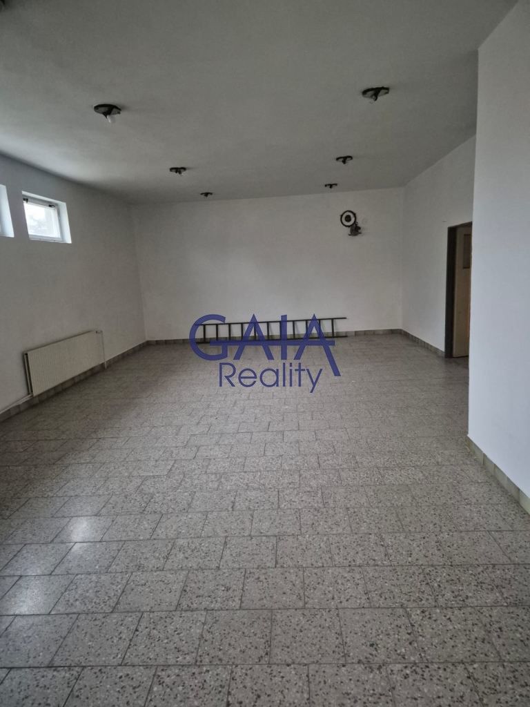 Obchodní prostory · 307 m² · Staré Město pod Landštejnem - 3