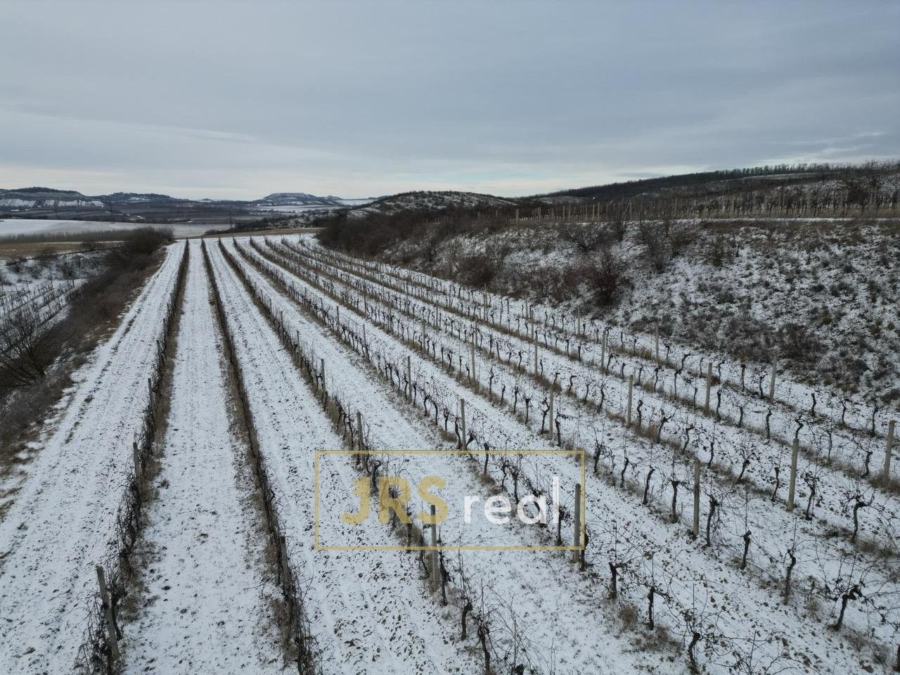 Prodej zemědělský pozemek - Sedlec