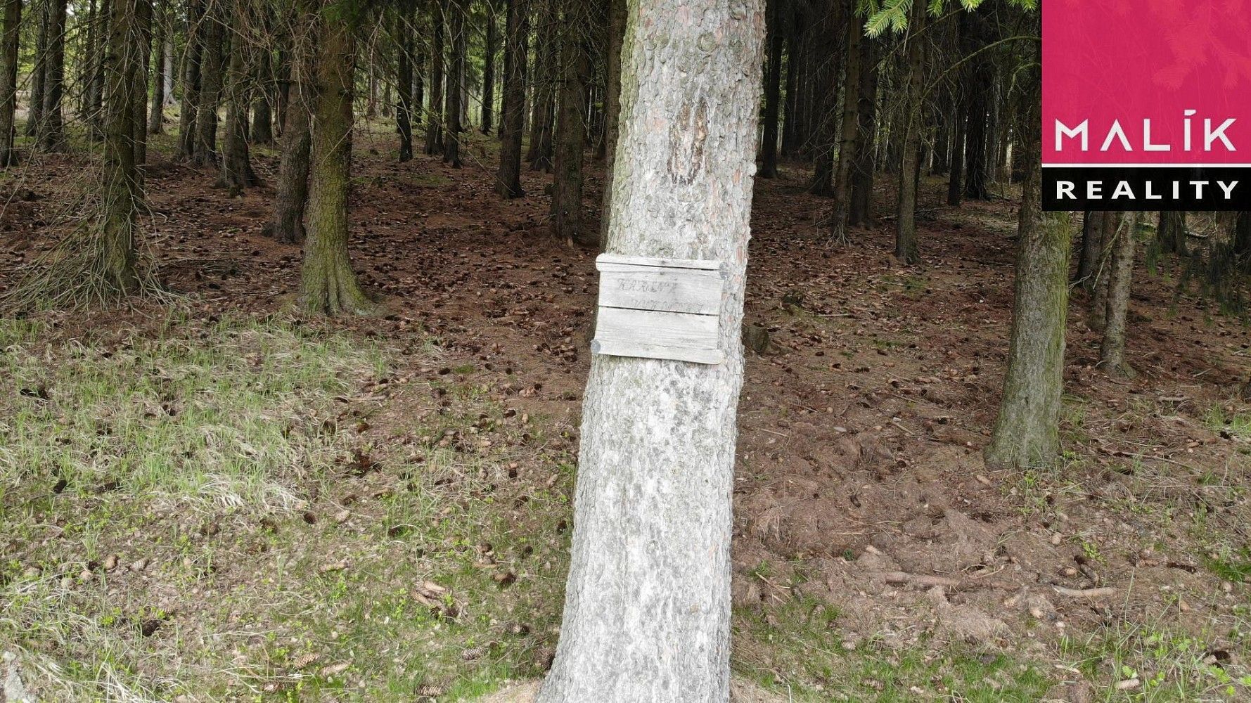 Prodej louka - Stráž nad Ohří - Srní, okres Karlovy Vary, Karlovarský kraj - 2