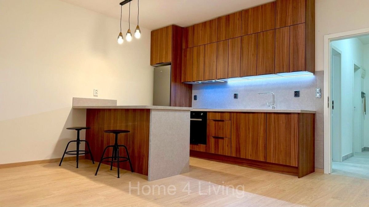 1+kk, Bratislavská, Praha, 45 m²