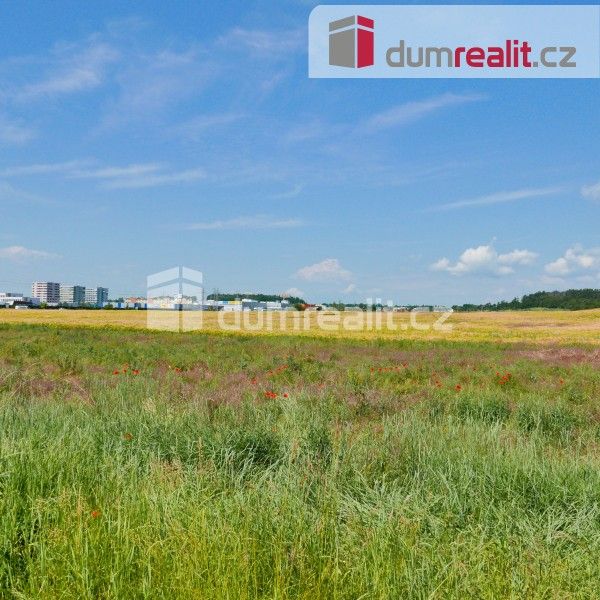 Prodej zemědělský pozemek - Kouřim, 81 817 m²