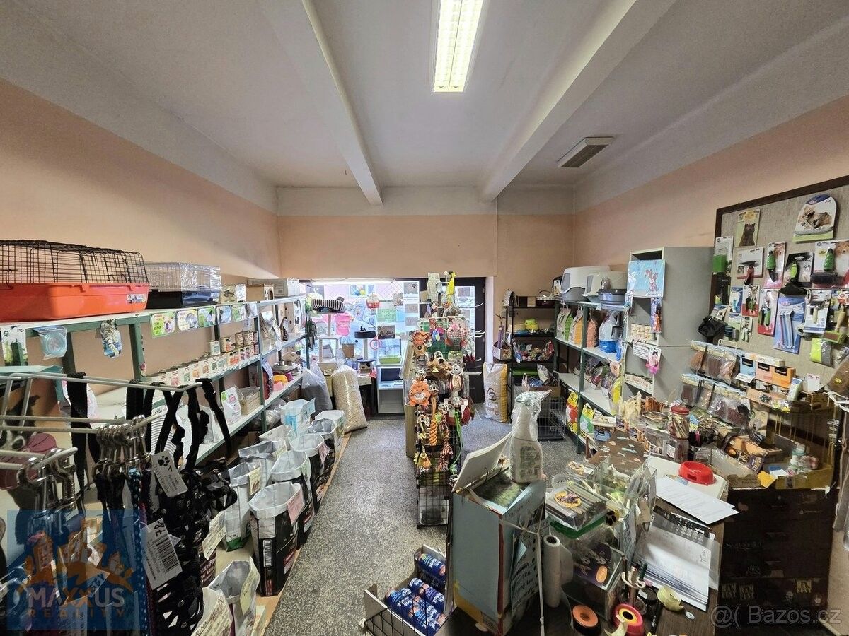 Obchodní prostory, Praha, 130 00