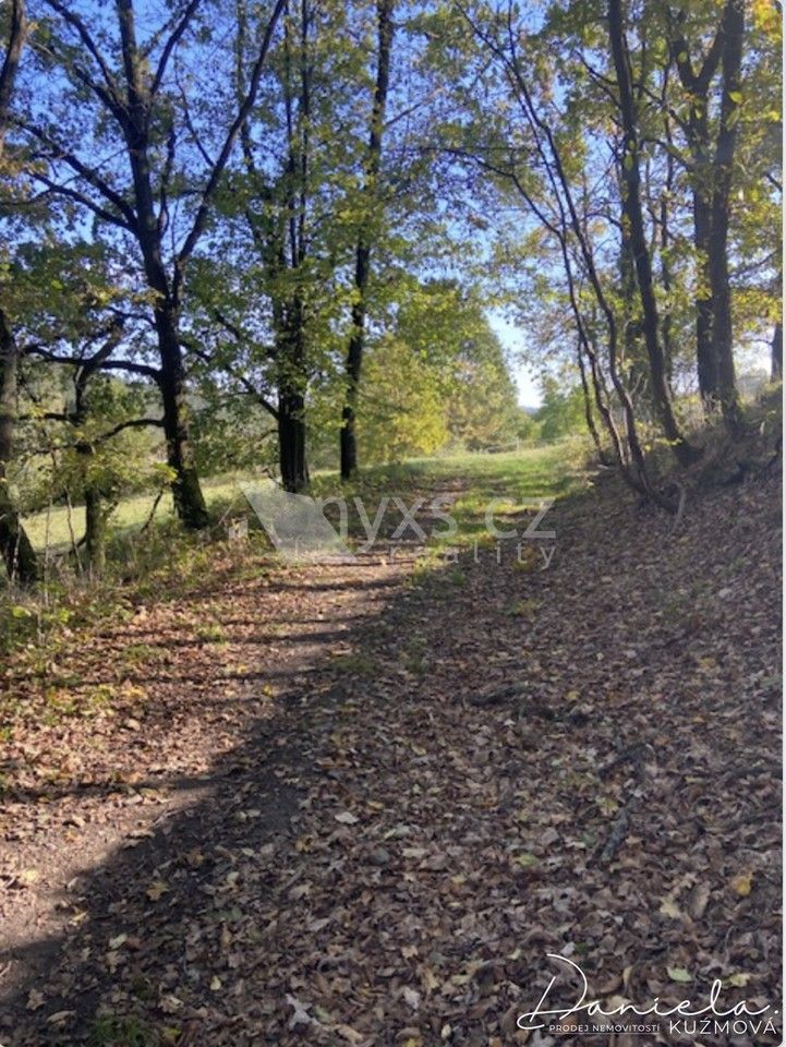 Prodej louka - Všešímy, Kunice, 7 468 m² - 5
