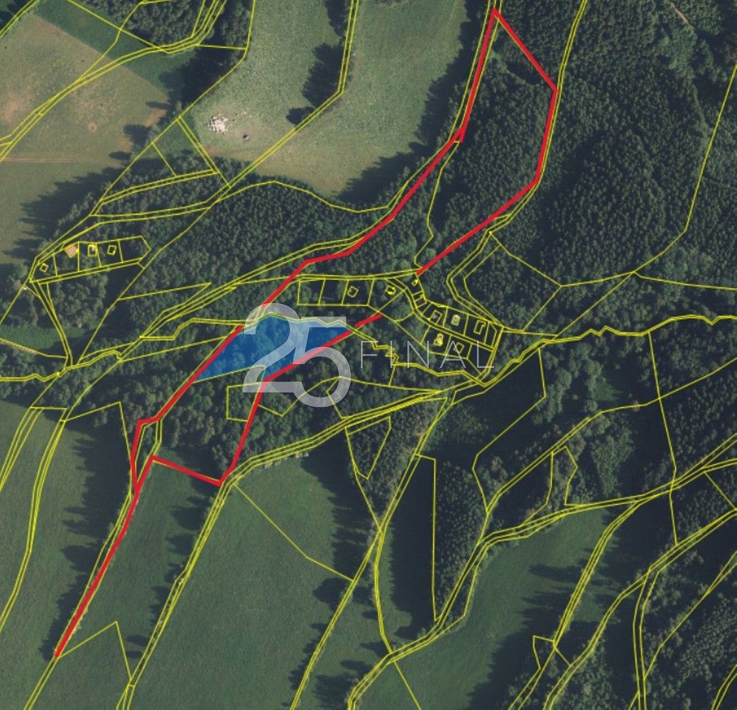 Prodej les - Bernartice, okres Trutnov, Královéhradecký kraj - 5