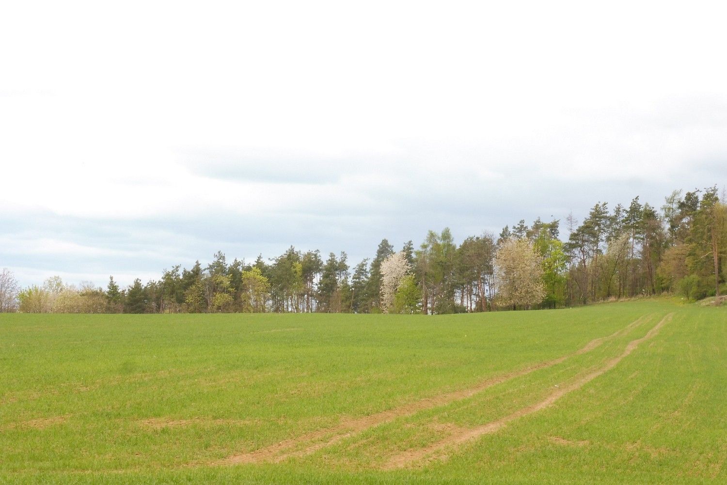 Pozemek · Pyšely, okres Benešov, Středočeský kraj - 2