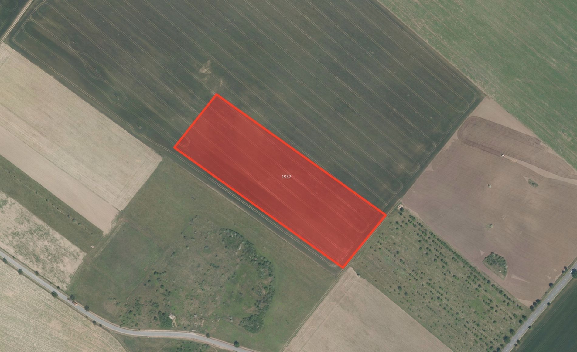 Prodej zemědělský pozemek - Popice, Znojmo