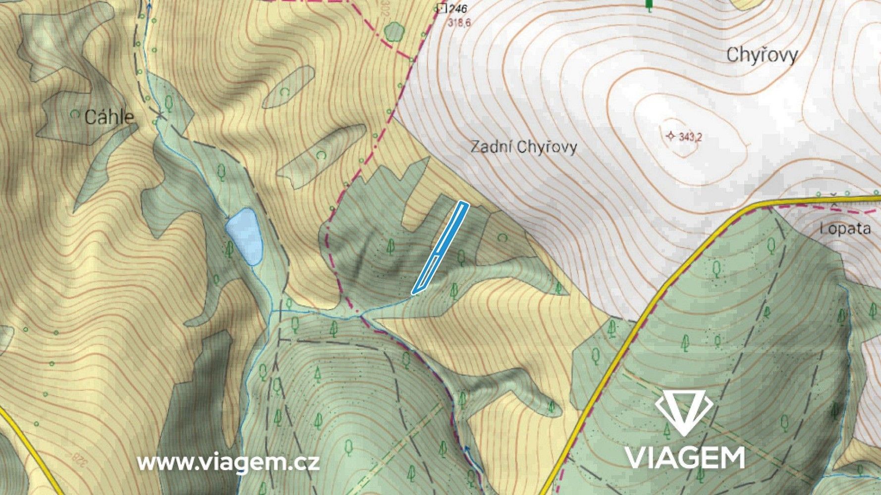 Les · Velký Ořechov, okres Zlín, Zlínský kraj - 3