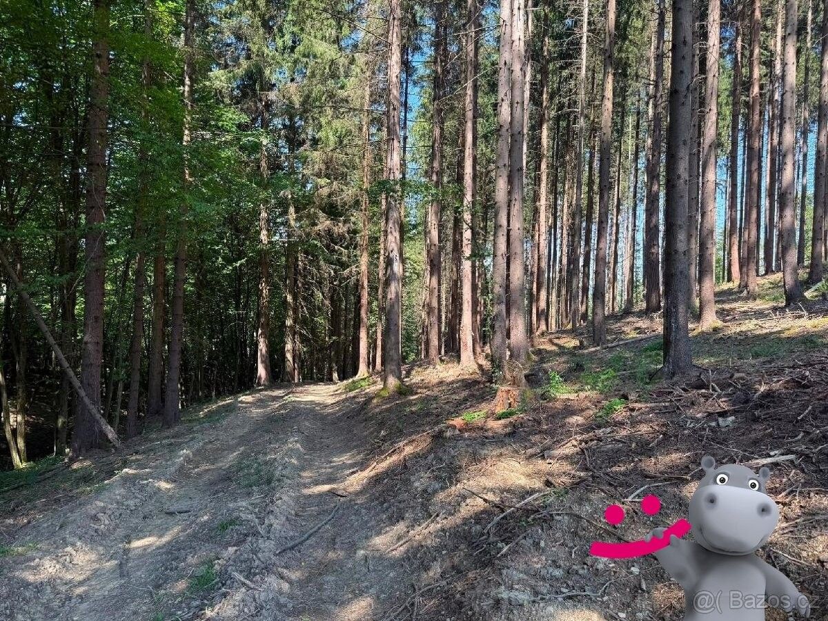 Pozemek pro bydlení · Vsetín, 755 01 - 3