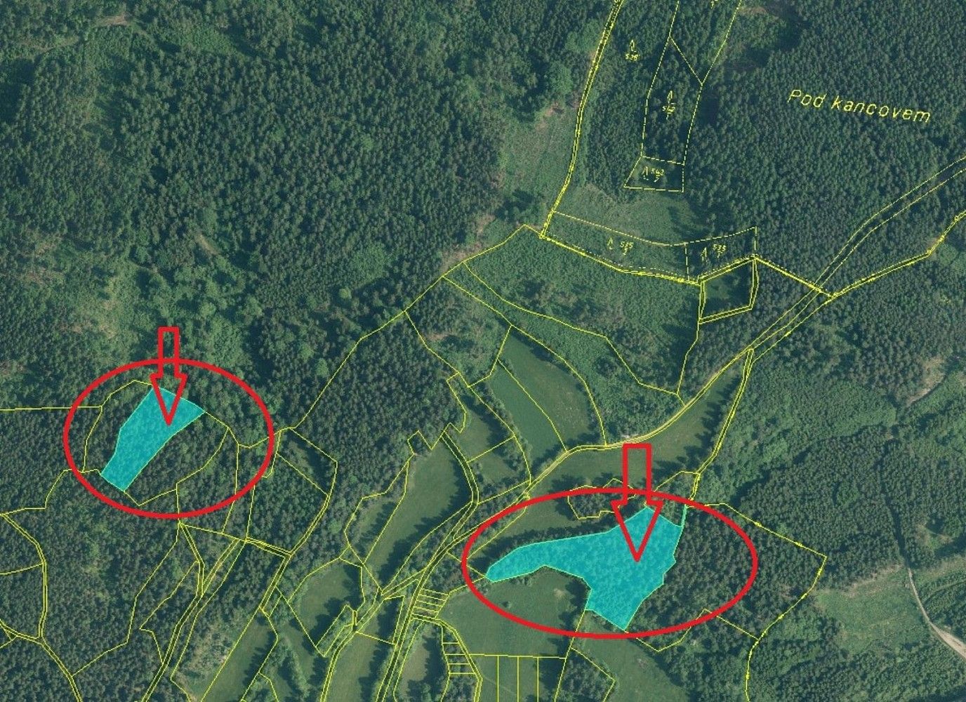 Lesy, Pěčnov - Dolní Chřibská, okres Prachatice, Jihočeský kraj - 2