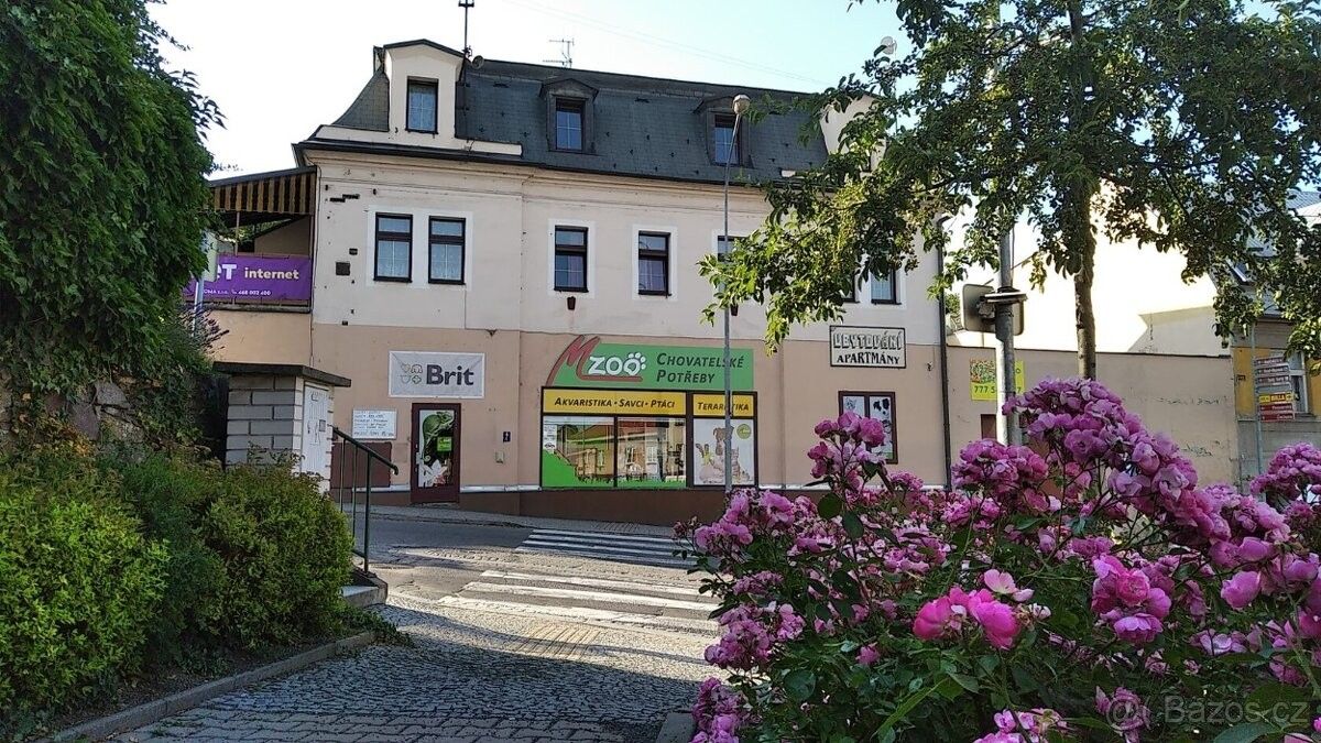 Obchodní prostory, Ledeč nad Sázavou, 584 01 - 1