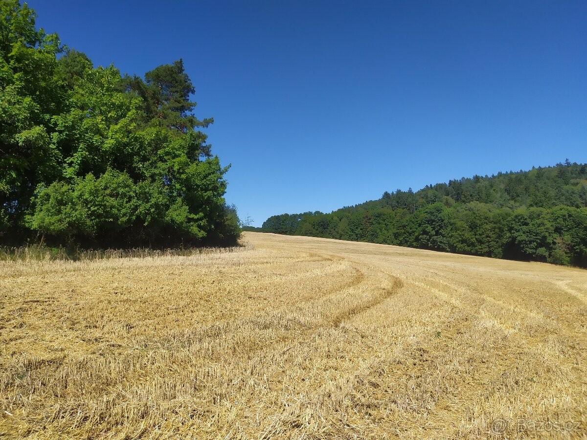 Prodej pozemek pro bydlení - Letovice, 679 61 - 5