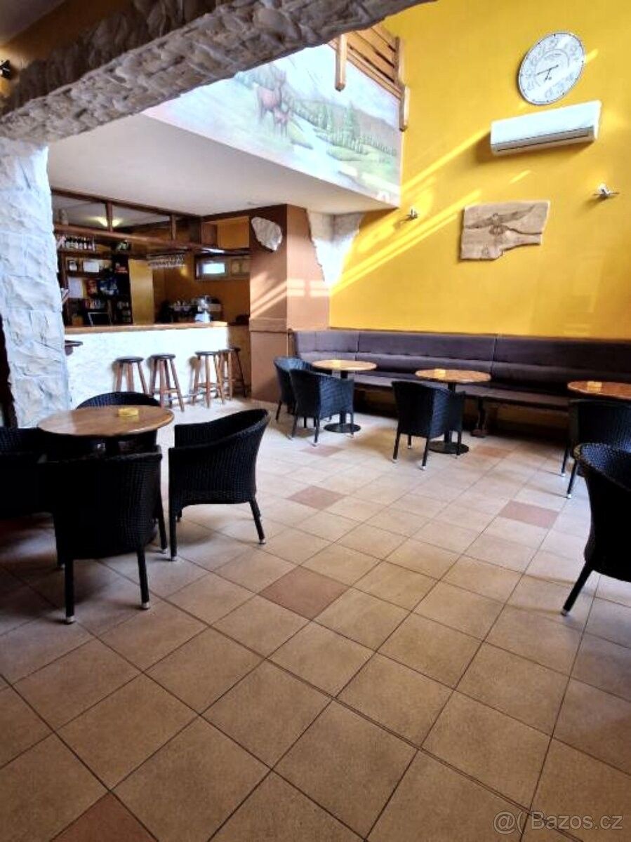 Prodej restaurace - Uherské Hradiště, 686 01 - 5