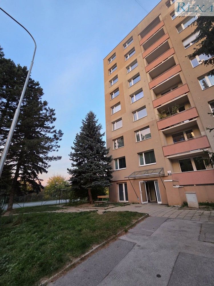 1+kk, Černého, Brno - Bystrc, 30 m² - 2