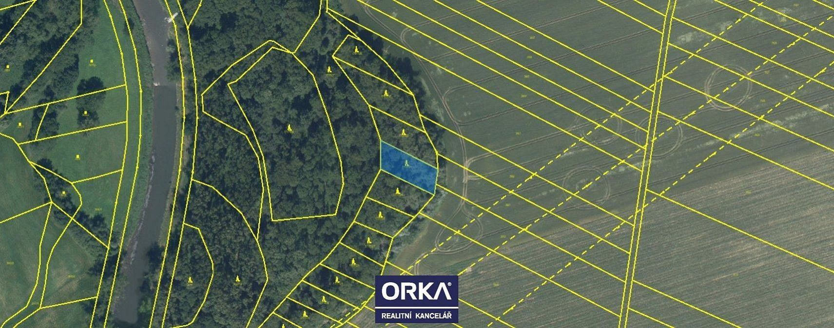 Les · Tovačov - Tovačov I-Město, okres Přerov, Olomoucký kraj - 3