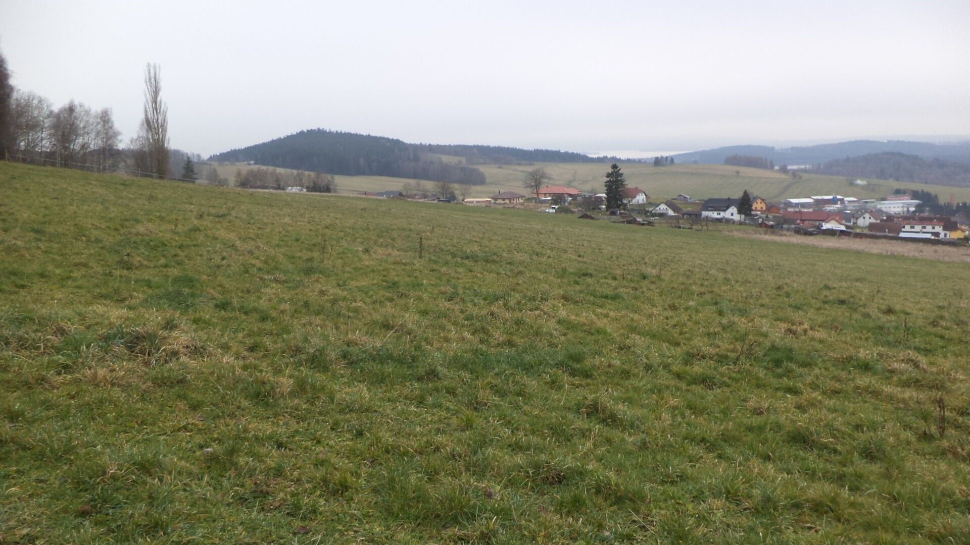 Zemědělský pozemek · 39 897 m² · Horní Planá - 3